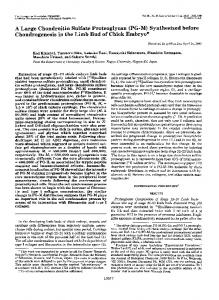 A Large Chondroitin Sulfate Proteoglycan - The Journal of Biological ...