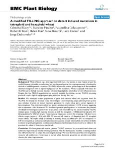 A modified TILLING approach to detect induced mutations in tetraploid ...