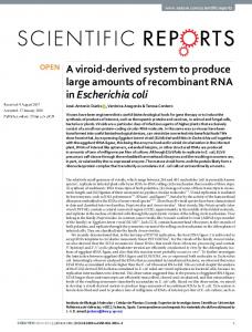 A viroid-derived system to produce large amounts of ... - Csic