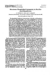 amyloliquefaciens - Journal of Bacteriology - American Society for ...