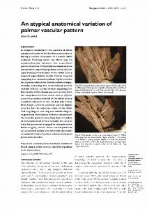 An atypical anatomical variation of palmar vascular ... - Semantic Scholar