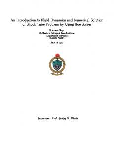 An Introduction to Fluid Dynamics and Numerical Solution of Shock ...