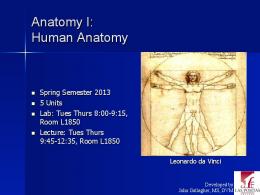 Anatomy I: Human Anatomy