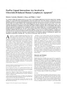 Apoptosis Ultraviolet-B-Induced Human Lymphocyte Fas/Fas Ligand ...