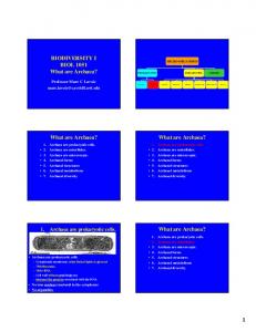 BIODIVERSITY I BIOL 1051 What are Archaea? What are ... - Uwi.edu