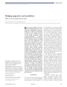 Bridging epigenetics and metabolism