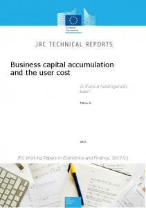 Business capital accumulation and the user cost