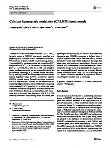 Calcium homeostasis modulator (CALHM) ion channels