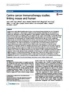 Canine cancer immunotherapy studies: linking mouse ... - Springer Link