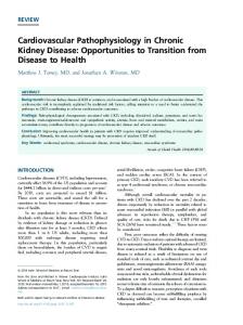 Cardiovascular Pathophysiology in Chronic Kidney Disease