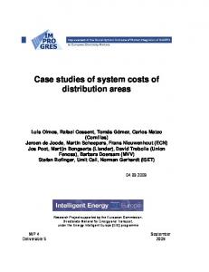 Case studies of system costs of distribution areas - IIT