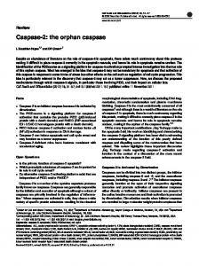 Caspase-2: the orphan caspase - Nature