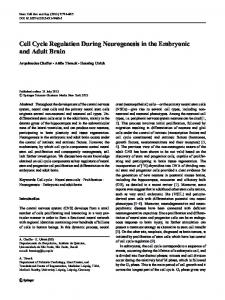 Cell Cycle Regulation During Neurogenesis in the Embryonic and ...