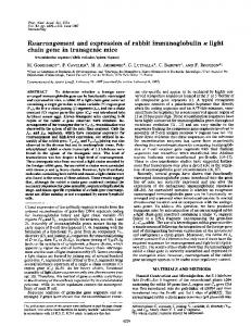 chain gene in transgenic mice - Semantic Scholar