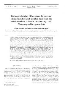 Chasmagnathus granulata - Inter Research