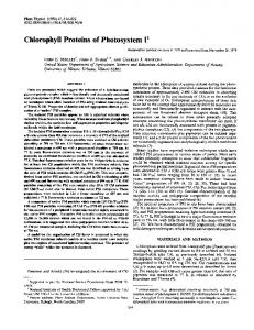 Chlorophyll Proteins of Photosystem I - NCBI - NIH