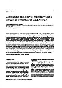 Comparative Pathology of Mammary Gland ... - Semantic Scholar