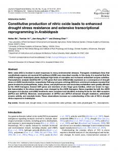 Constitutive production of nitric oxide leads to