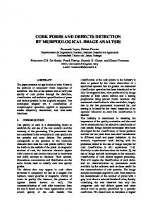 cork pores and defects detection by morphological image ... - eurasip