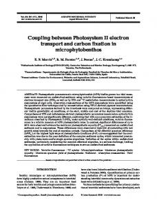 Coupling between Photosystem II electron transport and carbon ...
