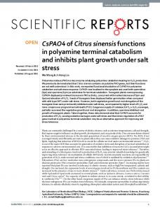 CsPAO4 of Citrus sinensis functions in polyamine