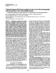 Cultured human fibroblasts synthesize and secrete thrombospondin ...