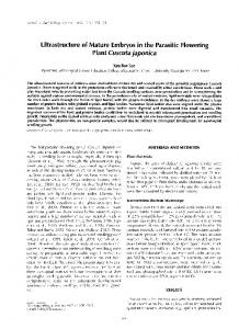 Cuscuta japonica - Springer Link
