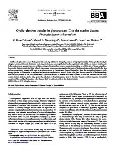 Cyclic electron transfer in photosystem II in the marine