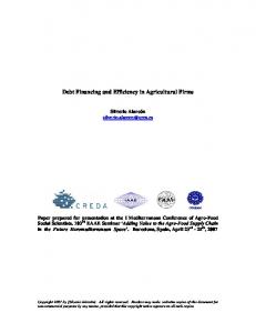 Debt Financing and Efficiency in Agricultural Firms - AgEcon Search