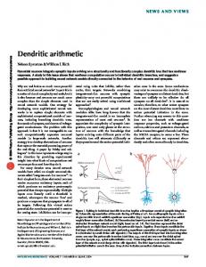 Dendritic arithmetic - Research