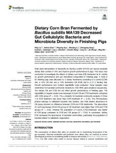 Dietary Corn Bran Fermented by Bacillus subtilis