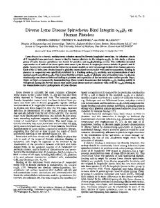 Diverse Lyme Disease Spirochetes Bind Integrin oLIIbI33 on