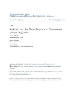 dnaK and the Heat Stress Response of Pseudomonas syringae pv ...