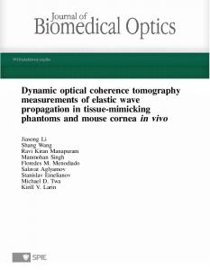 Dynamic optical coherence tomography ...