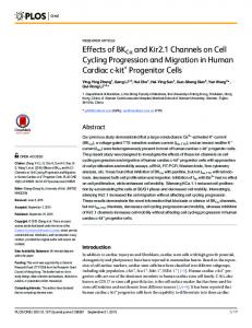 Effects of BKCa and Kir2.1 Channels on Cell Cycling ... - CiteSeerX