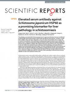 Elevated serum antibody against Schistosoma japonicum ... - Nature