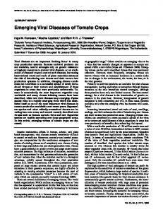 Emerging Viral Diseases of Tomato Crops - APS Journals - American ...