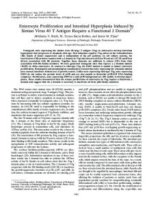 Enterocyte Proliferation and Intestinal ... - Journal of Virology