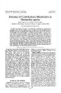 Enzymes of Carbohydrate Metabolism in Thiobacillus species