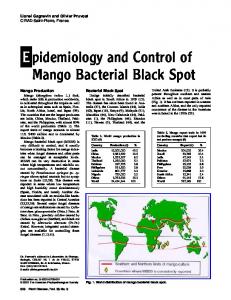 Epidemiology and Control of Mango Bacterial Black Spot - APS Journals