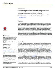 Estimating Orientation of Flying Fruit Flies