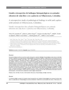 Estudio retrospectivo de hallazgos ... - SciELO Colombia
