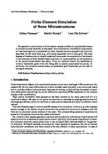Finite Element Simulation of Bone Microstructures - Numerical ...