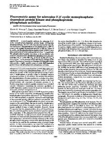 Fluorometric assay for adenosine 3',5'-cyclic monophosphate ...