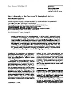 Genetic Diversity of Bacillus cereus/B. thuringiensis ... - Springer Link