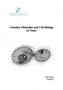 Genetics, Molecular and Cell Biology of Yeast