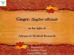 Ginger: Zingiber officinale