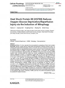 Heat Shock Protein B8 (HSPB8) Reduces Oxygen