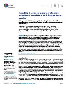 Hepatitis B virus core protein allosteric modulators