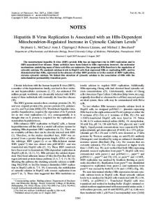 Hepatitis B Virus Replication Is Associated with ... - Journal of Virology
